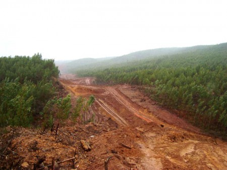Sub-concessão - Pinhal Interior